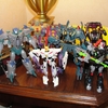 Botcon%202013%20-%20Exclusive%20Attendee