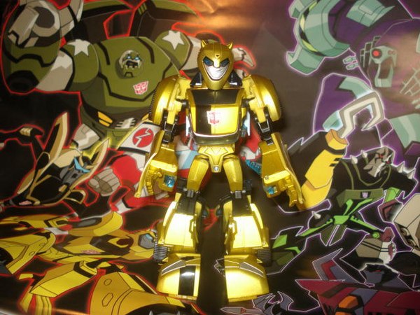 Animated Japan Bumblebee Out of the Box