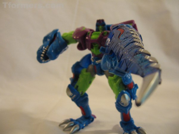 BotCon 2010 - Hands On w/ Convention Exclusive Sets