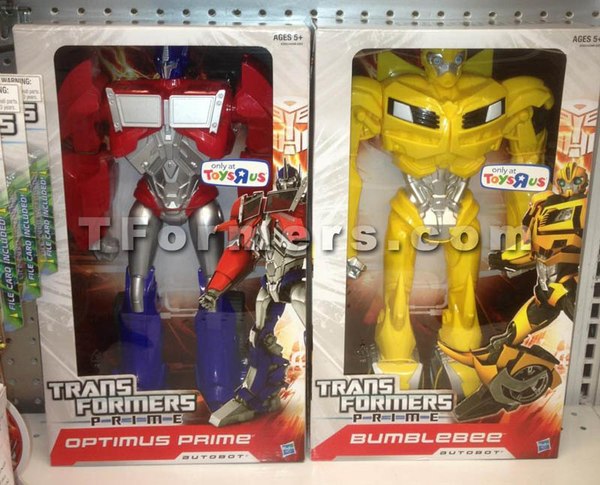 Transformers Prime 16-Inch Over-Sized Bumblebee and Optimus Prime Figures Found in SoCal Toys R Us