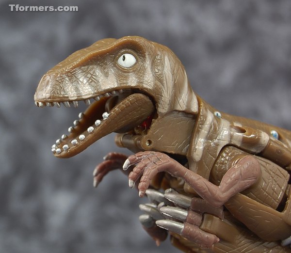 Featured Toy of the Month: Henkei Dinobot!