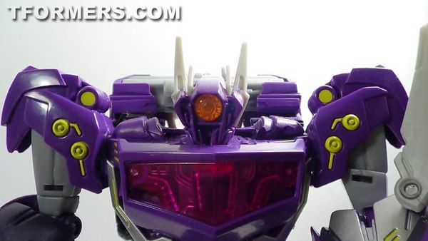 Video Review Transformers SDCC 2013 Exclusive Shockwave and Predaking Beast Hunters Figures