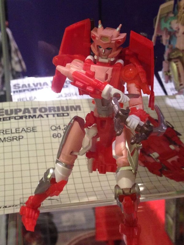 Mastermind Creations Display At Botcon 2014 - Feral Rex, Azalea Not-Arcee And More!