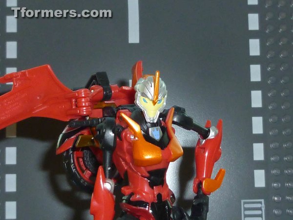 BotCon 2014 - Photos of Knights 3-Pack with Alpha Trizer, Flareup, and Apelinq