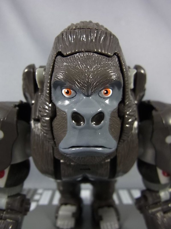 TakaraTomy Legends LG01 And LG02 Rattrap And Optimus Primal New In-Hand Galleries