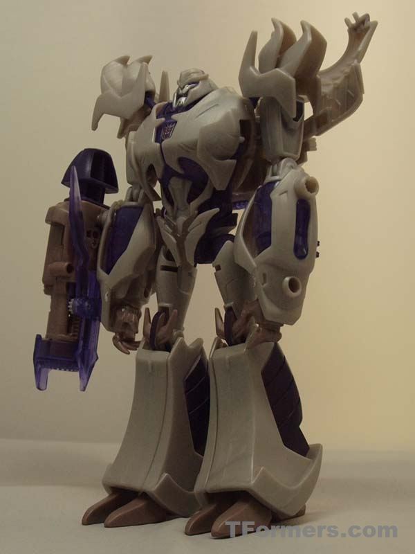 rid megatron